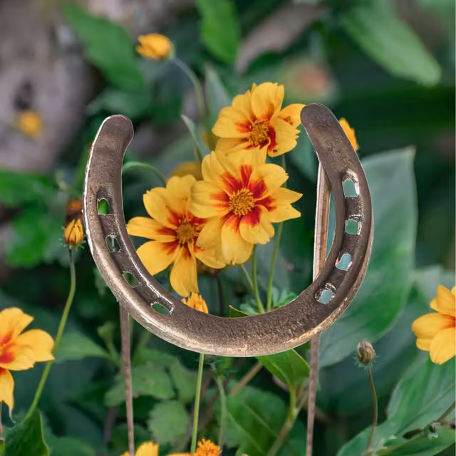 Garden Mile Horseshoe Garden Plant Support Stakes, Set of 2, Grey