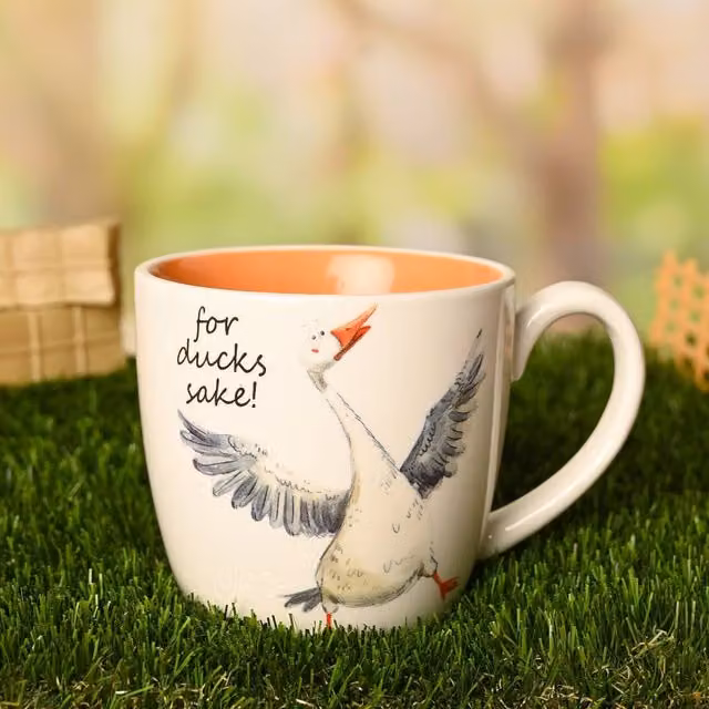 Funny Farm For Ducks Sake Ceramic Mug in Orange, White and Multicolour – 1