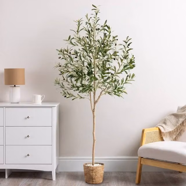 Christow Artificial Mediterranean Olive Tree with Realistic Leaves in Green, Grey, Black and White, Height: 152.4 cm
