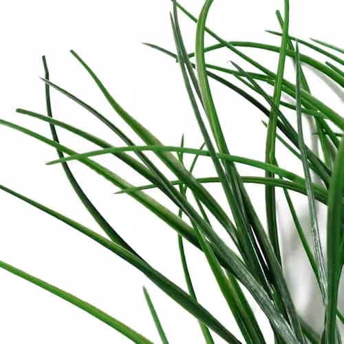 Green Leaf Design Artificial Grass and Floral Decor – 2