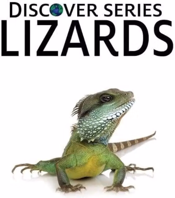 Xist Publishing Lizards Hardcover Book in Brown and Multicolour