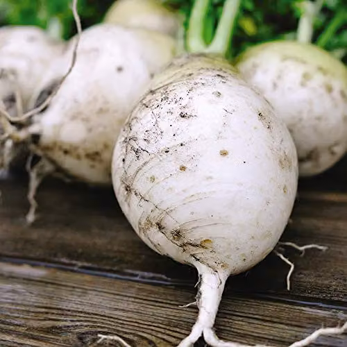 Thompson and Morgan Turnip Snowball Vegetable Seeds, 1000 Seeds
