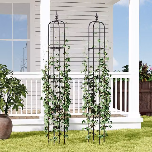 Komore Black Metal Garden Obelisk Trellis Support for Climbing Plants, Set of 2, Height: 152.4 cm