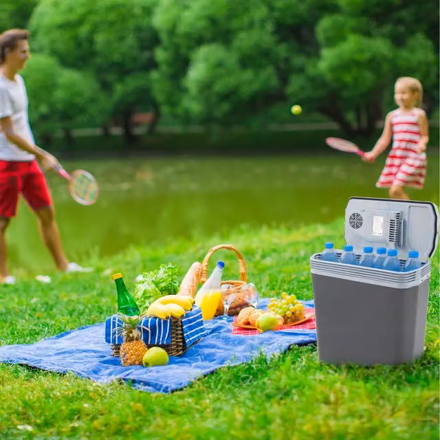 AREBOS Electric Cooler Box with ECO Mode in Anthracite, 20l
