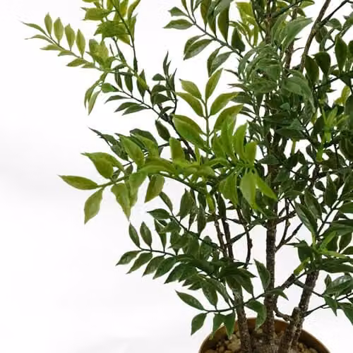 Leaf Green Artificial Oriental Bonsai Tabletop Tree H 60 cm x W 30 cm x D 30 cm – 4