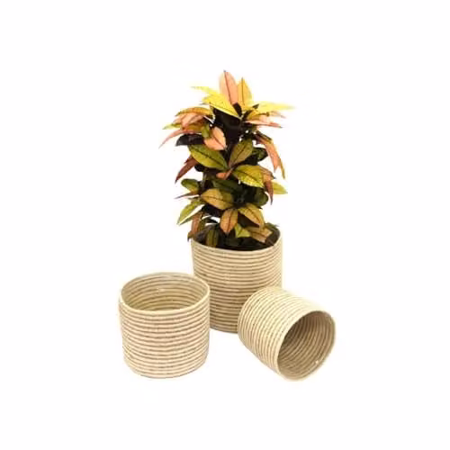 Garden Gear Chia Seagrass Planter Basket Set of 3 in Grey and Sand with Interior Plastic Coating