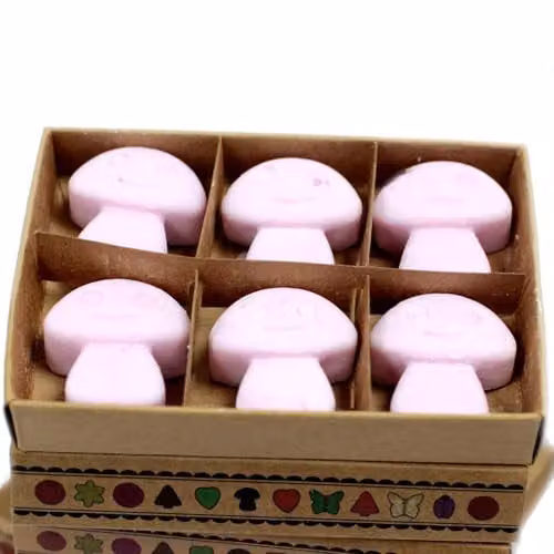 Ancient Wisdom Ylang Ylang Wax Melts, Box of 6, Purple – 2
