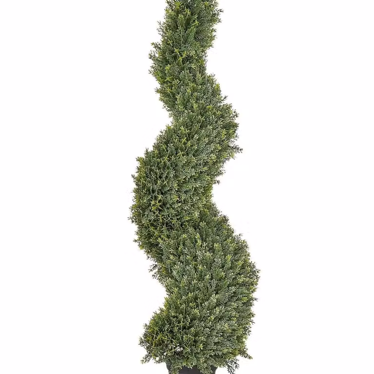 Wyld and Coco Green Potted Spiral Tree with Metal Core, Height: 126 cm