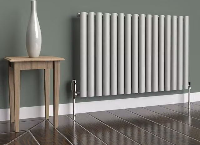 Lux Heat Oval Horizontal Coloured Radiator in Dove Grey, W: 96.0 cm, H: 60.0 cm