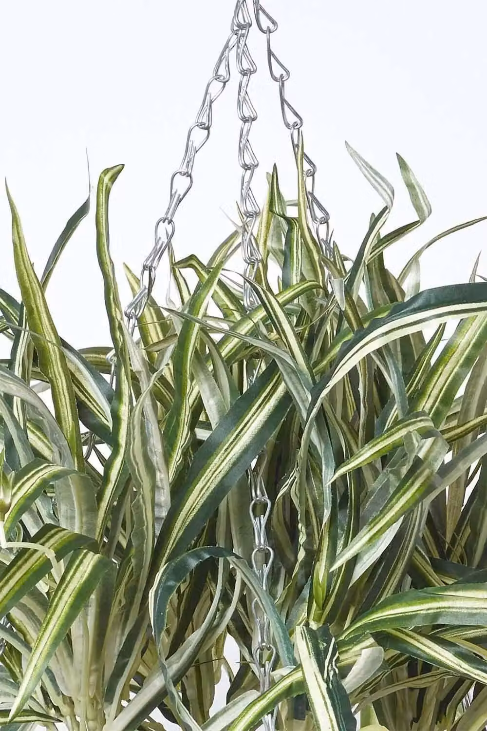 Homescapes Artificial Hanging Spider Plant in a Green Rattan Basket, 60 cm – 4