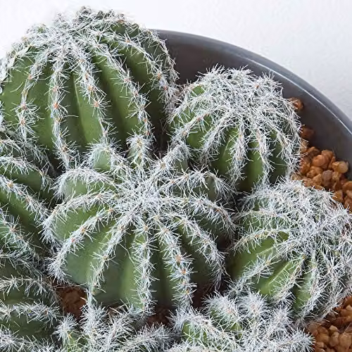 Homescapes Artificial Green Barrel Cactus Succulent Arrangement in a Round Grey Pot, Height: 17 cm – 2