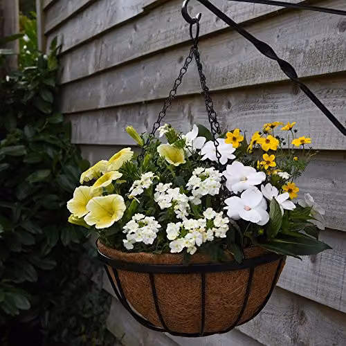 Thompson & Morgan Black Metal Hanging Basket Frames with Coconut Husk Liners, Diameter: 30 cm – 2
