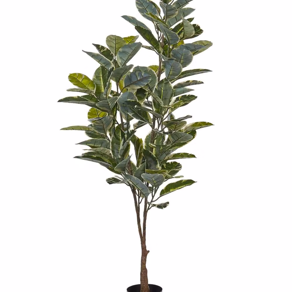 Wyld and Coco 160cm Artificial Ficus Potted Tree in Green and Black Concrete Pot – 2