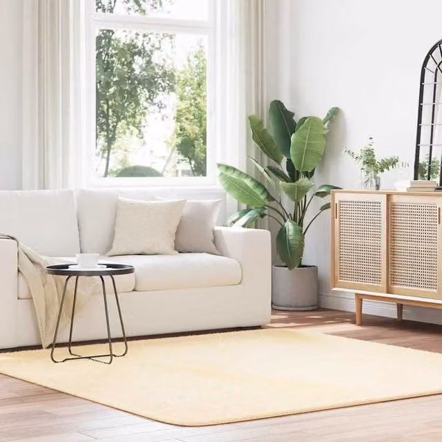 Berkfield Home NAVARRA Shaggy High Pile Rug, Beige, W/D/H: 200 x 200 x 1 cm