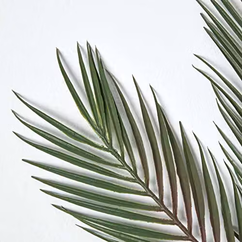 Homescapes Green Artificial Palm Leaf Single Stem 68 cm – 2