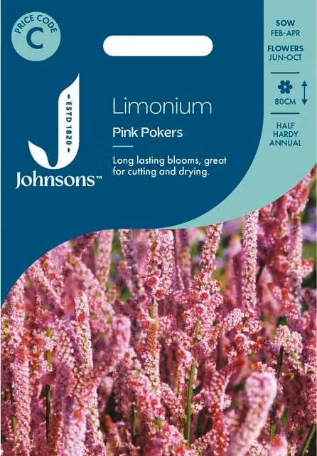 Johnsons Seeds Pink Pokers Limonium Flower Seeds