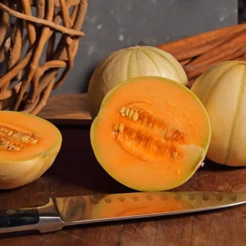 Thompson & Morgan Melon France Miniature Seeds, Sweet Orange Flesh, 4 Seeds per Packet – 1