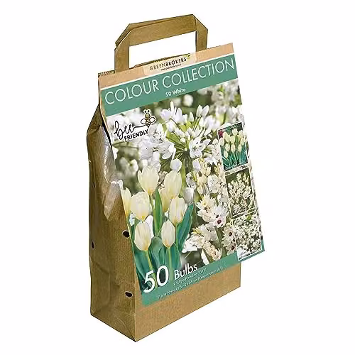 GreenBrokers Colour Collection White Spring Flower Bulbs, 50 g