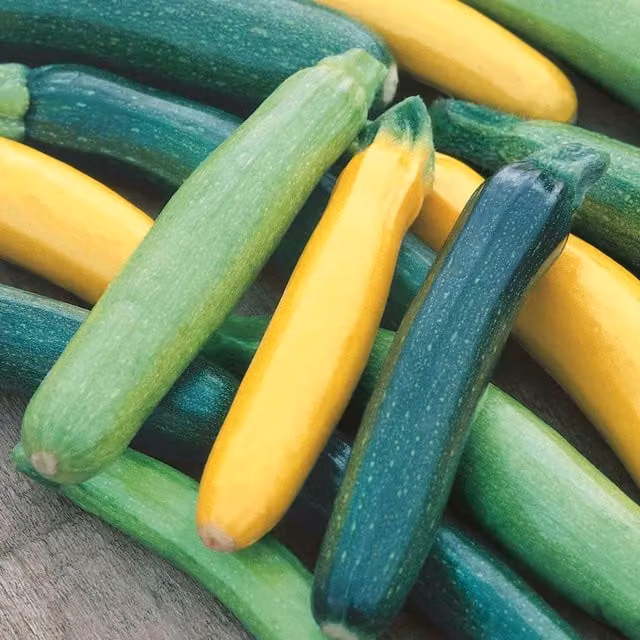 Unwins Tristar Courgette Seeds, Green