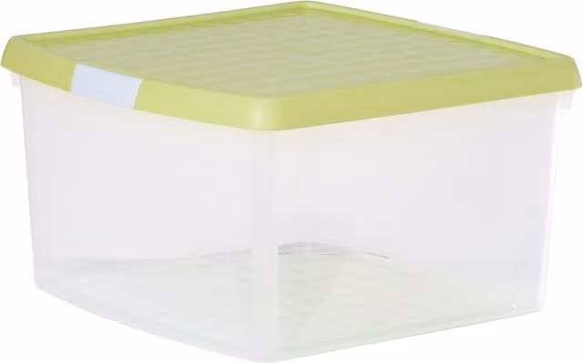Wham Green Transparent Plastic Storage Box with Clip On Lid, 25.5l