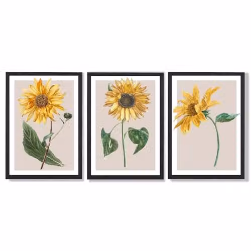 ARTZE Set of 3 Vintage Sunflower Botanical Wall Art, Black Framed Floral Paper Posters in Yellow and Beige, W: 33 cm, H: 45 cm, D: 2 cm