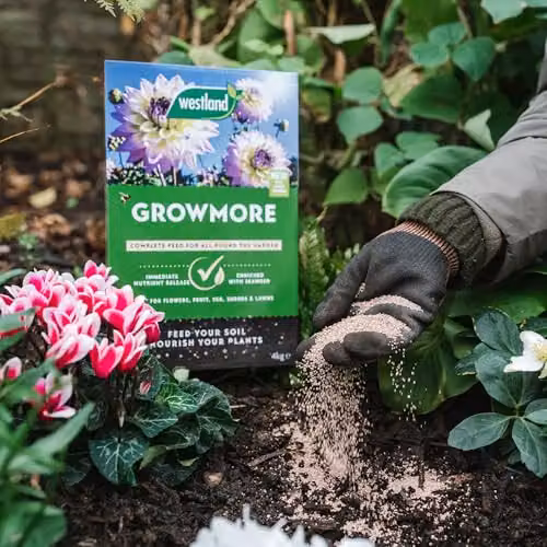 Westland Growmore All Purpose Plant Food Granulate, 4 kg – 4