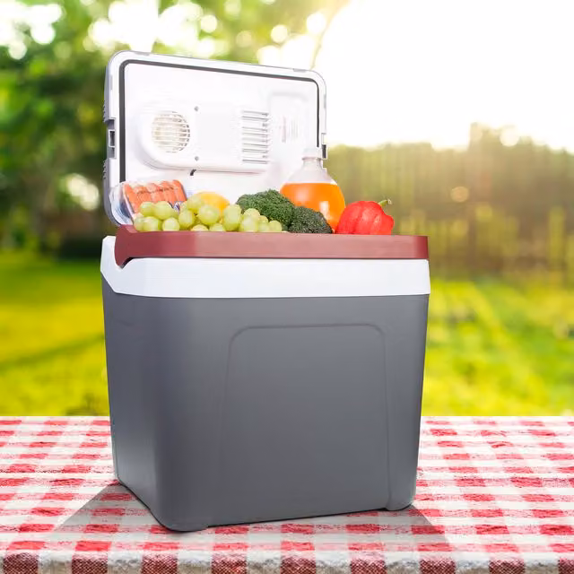 Koolatron 12V Electric Cool Box, 24L, Grey
