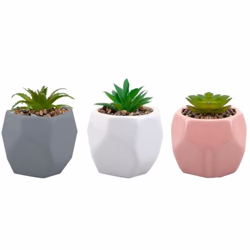 VFM e-Store Small Artificial Succulent Potted Plant in White Plastic, Height: 12.1 cm – 4
