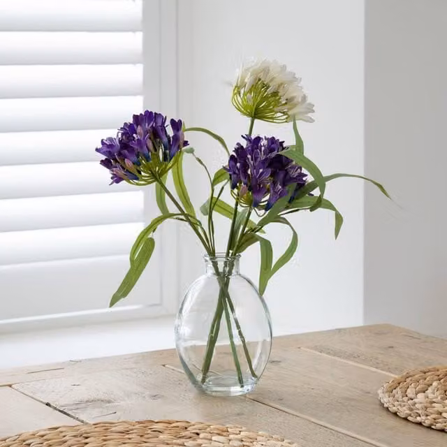 Scottish Everlastings Ltd Purple Agapanthus in a Glass Vase, Height: 40 cm