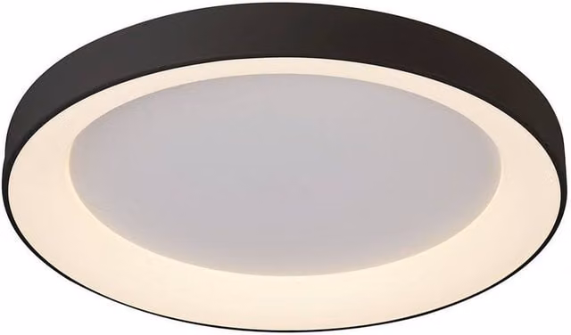 Netlighting Niseko Ring LED Ceiling Light, Black, Diameter: 65 cm, 48W, 3000K, 3900lm