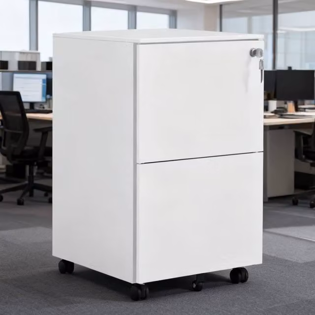 ERGOVEXA Lockable 2-Drawer Vertical Metal Filing Cabinet with Castors, White