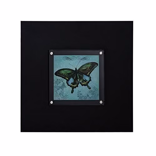 Premier Housewares Butterfly Design Framed Wall Art in Black and Multicolour – 1