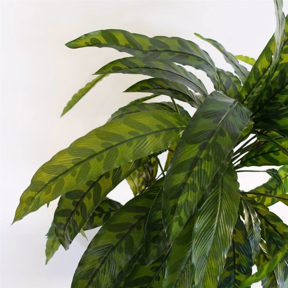 Leaf Design UK Realistic Large Variegated Artificial Calathea Plant in Green, Height: 60 cm – 5