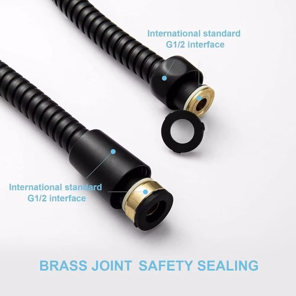NESTLUNE Black and Chrome Stainless Steel Flexible Shower Hose – 2