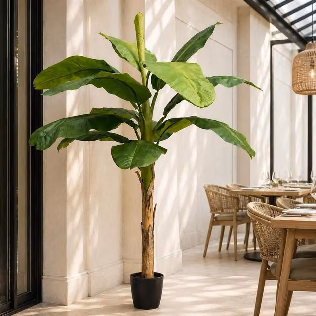 Botanik Premium Large Artificial Banana Tree, Green, Height: 240 cm