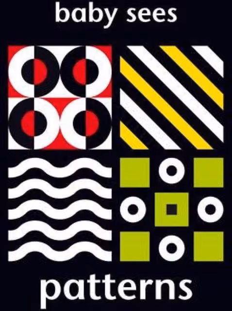 Adam Wilde Baby Sees Patterns Multicolour Board Book