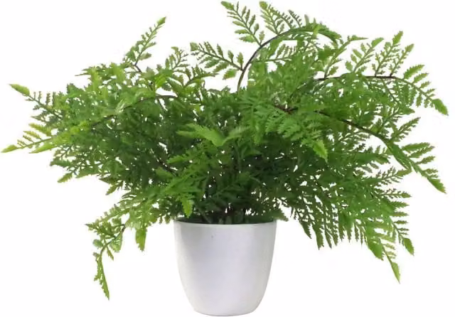 Realistic Artificial Potted Southern Wood Fern in Green
