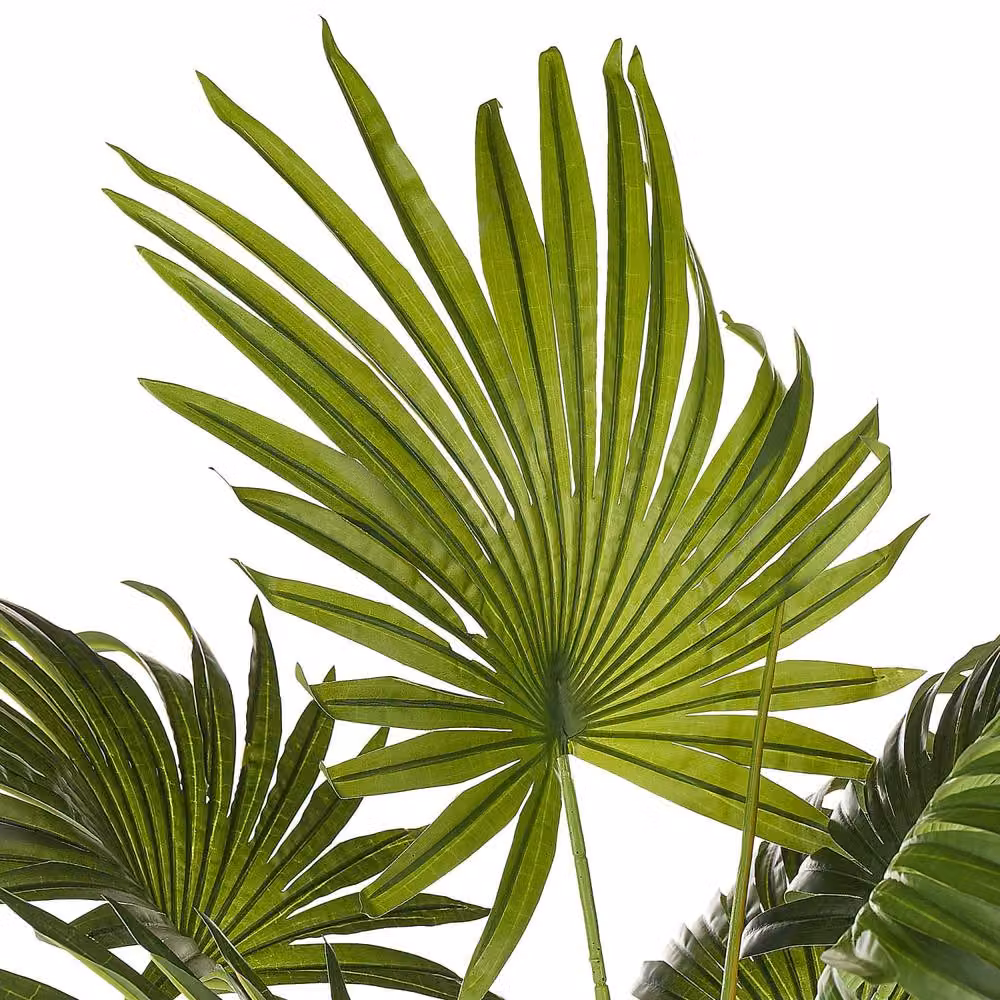 Wyld and Coco Artificial Potted Fan Palm, Height: 100 cm, Green and Black – 5