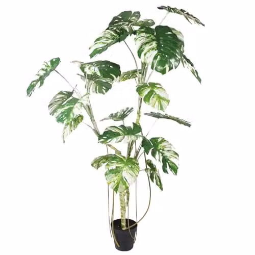 LeafUK Botanik Artificial Monstera Tree, Green, H 210 x W 120 x D 120 cm – 2