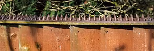 St Helens Home & Garden Small Animal Anti Climb Wall and Fence Deterrent Spikes, Pack of 10, Brown – 5