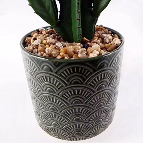 Leaf Design UK Realistic Green Cactus Succulent in a Round Ceramic Planter, Height: 23 cm – 2