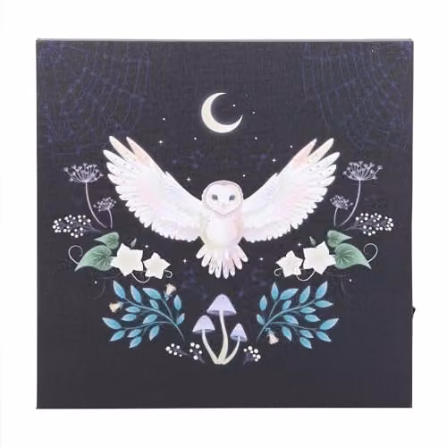 Something Different Night Owl Light Up Canvas Plaque in Multicolour and Brown, W/D/H: 30 x 30 x 30 cm