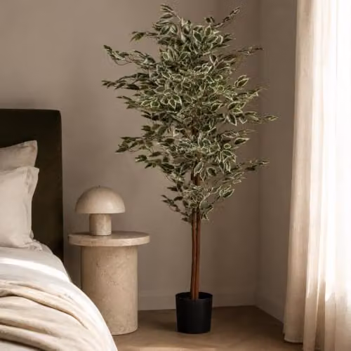 Leaf UK Artificial Ficus Tree, Green, H 160 cm x W 80 cm x D 80 cm – 3