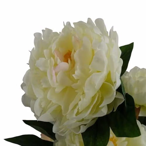 Leaf Design UK White Peony Artificial Potted Plant, Height: 55 cm – 4