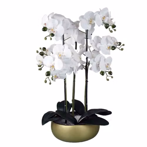 Leaf Design UK Realistic White and Gold Artificial Orchid in a Green Ceramic Planter, Height: 60 cm