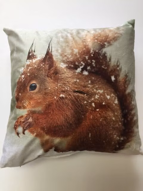 Rapport Home Squirrel Velvet Cushion Cover, Multicolour, W/D/H: 43 x 43 x 43 cm