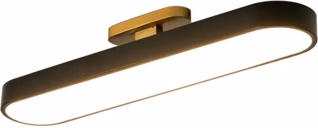 Bath Plus TB+ Dimmable LED Ceiling Light in Black and Gold/Brass