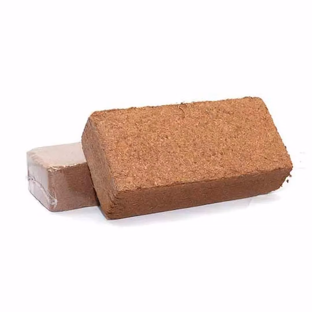 Coir Products Coco Coir Potting Mix, 650g – 2