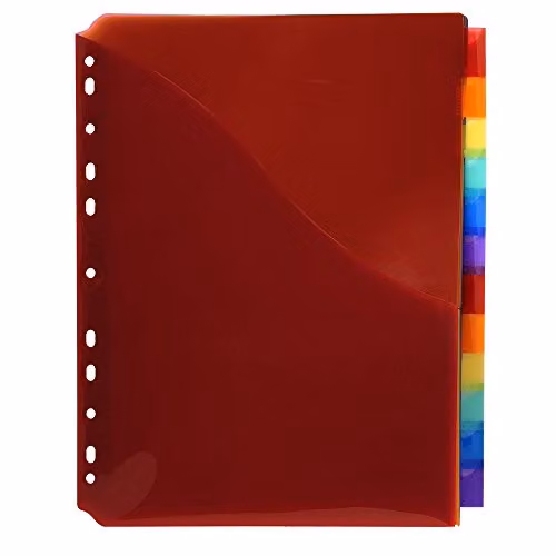 Exacompta Translucent Plastic A4 Dividers with 12 Blank Tabs – 2