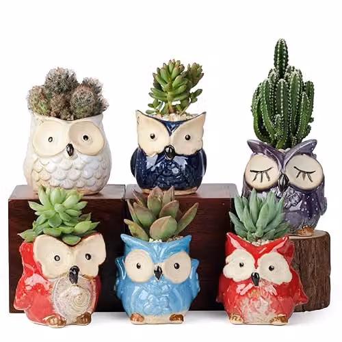 Simpa 6-Piece Multicolour Cartoon Owl Ceramic Plant Pots with Wood Bases, H 7.3 cm x Dia 7.3 cm – 4